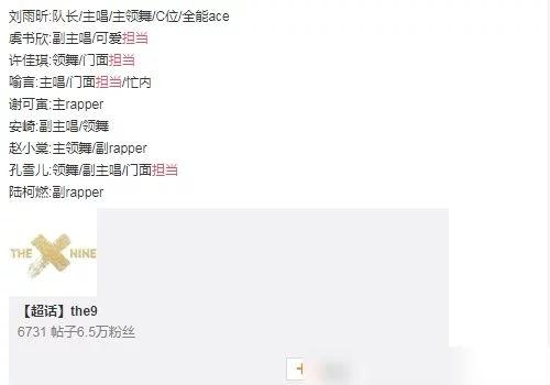 THE9成员担当：刘雨昕全能ACE虞书欣可爱担当，门面担当有争议