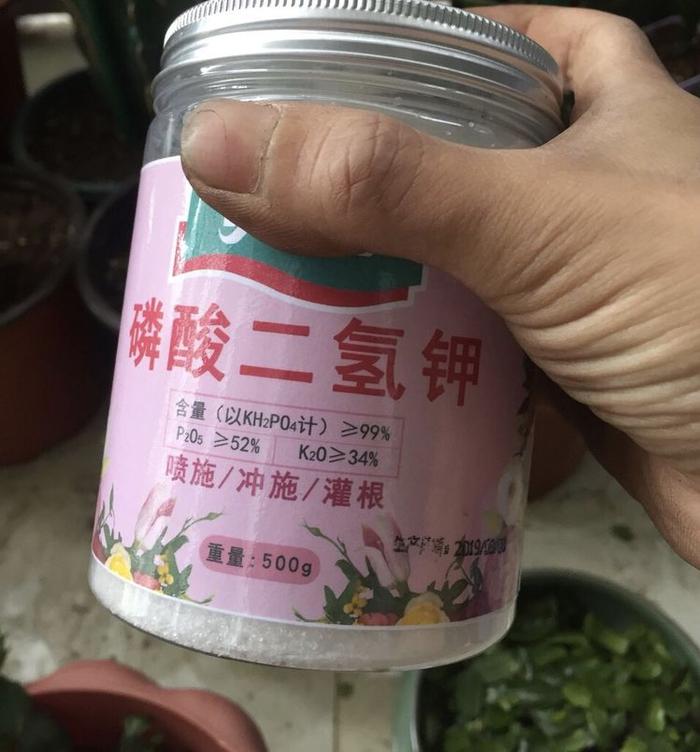 “磷钾肥”是开花必备肥料，教你“正确”使用方法，才有好效果