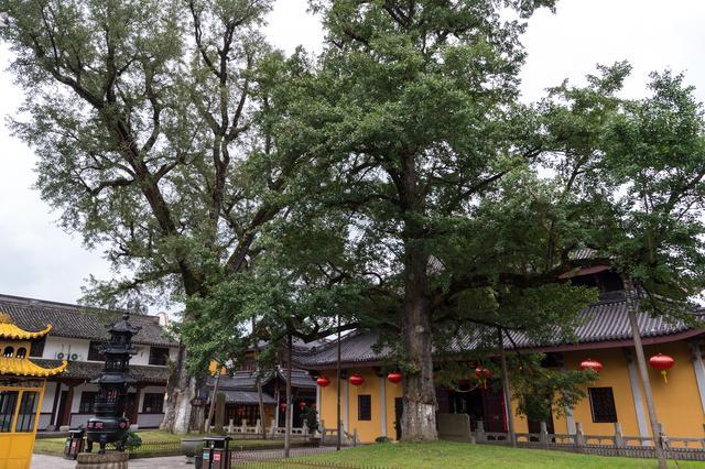 浙江被遗忘的古寺，迄今1700多年历史，建有世界最大的弥勒佛像