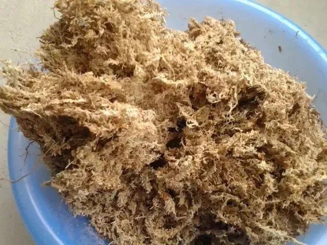 在花盆里栽种植物用什么盆土好些？