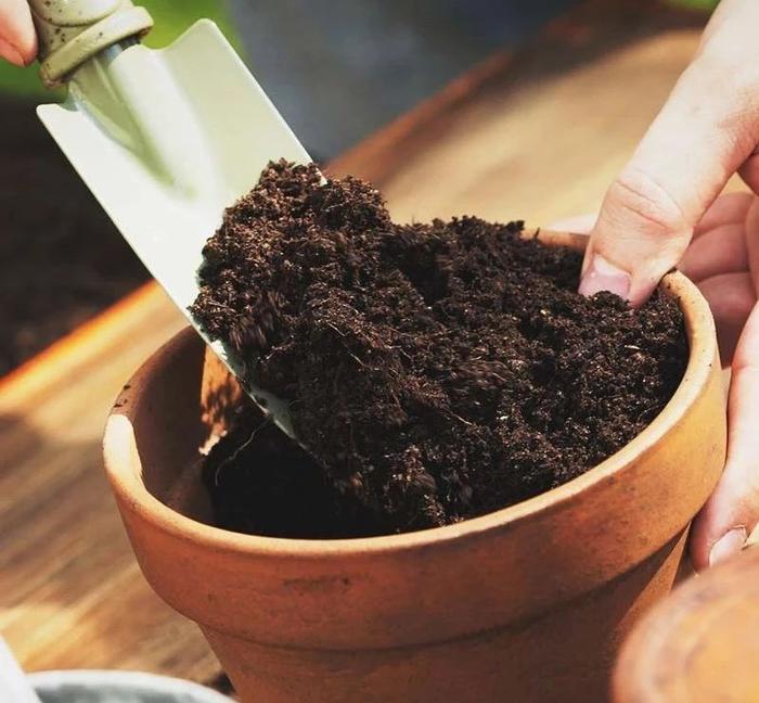 在花盆里栽种植物用什么盆土好些？