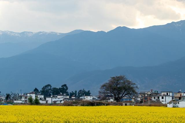 中国七大慢节奏生活城市，跟着当地人，过最惬意的慢生活