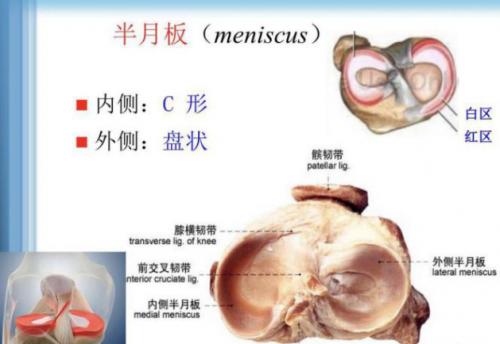 跑步百利唯伤膝 | 如何在“护膝”的同时实现“健康跑”？