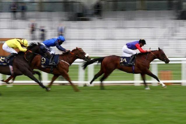 爱马的英女王68年来首次缺席皇家赛马会，却时隔四年迎雅士谷冠军