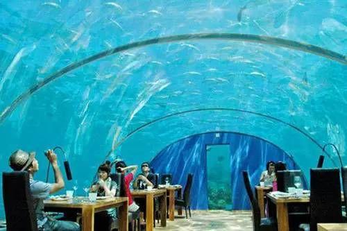 比利时一座水下餐厅，建在33米泳池下，一顿3000还有特殊要求