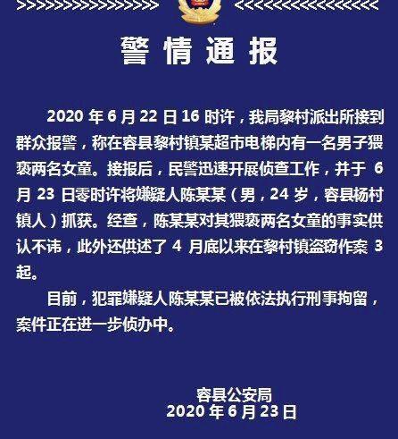 广西一男子电梯内接连猥亵俩女童，摸脸拍屁股还掀裙子，被刑拘