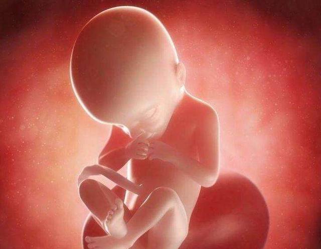 孕期什么时间段容易发生胎儿缺氧？很多爸妈不知道，这几点很重要