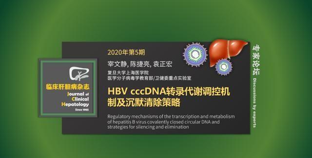 专家论坛｜袁正宏：HBV cccDNA转录代谢调控机制及沉默清除策略
