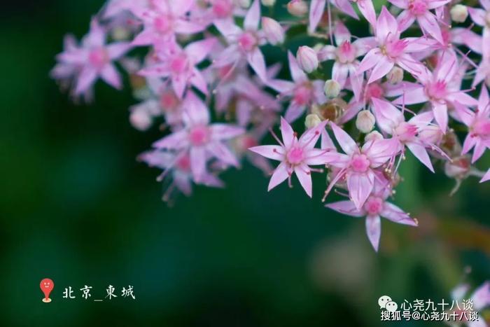 最恐今日一别成永诀，哪怕断壁残垣也热爱 | 京师大学堂旧址拍照