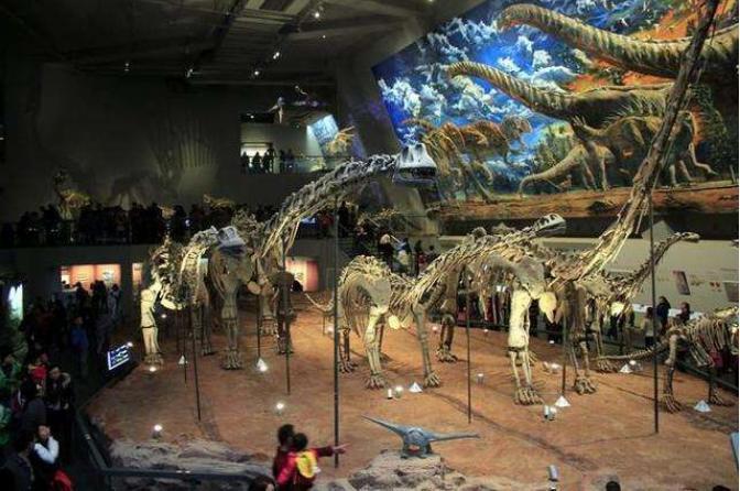 恐龙统治地球1.6亿年，为何迟迟不进化？你看它1亿多年都在干嘛