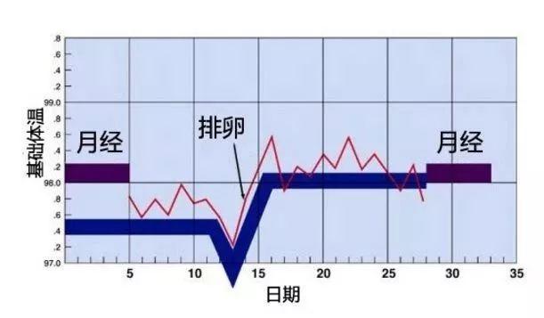 有月经不等于能生育?月经和生育能力到底有什么关系!