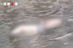 湖北襄阳暴雨后一积水路段发现漂浮女尸