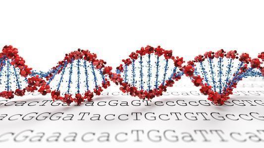 基因组学解决方案提供商获投1.15亿 实现一步法精准捕获目标基因