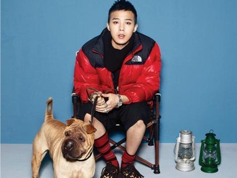 BIGBANG被控诉弃养家中两只沙皮犬，真差劲糟糕有钱还不请人看