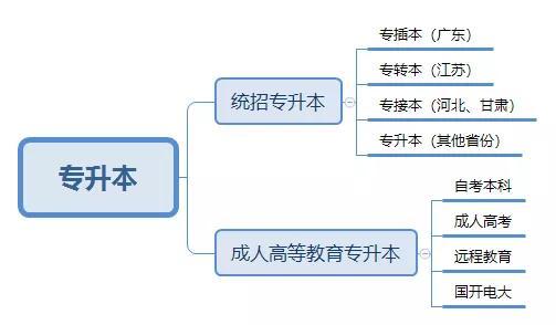 升本小知识：专升本、专插本、专转本、专接本有啥不一样