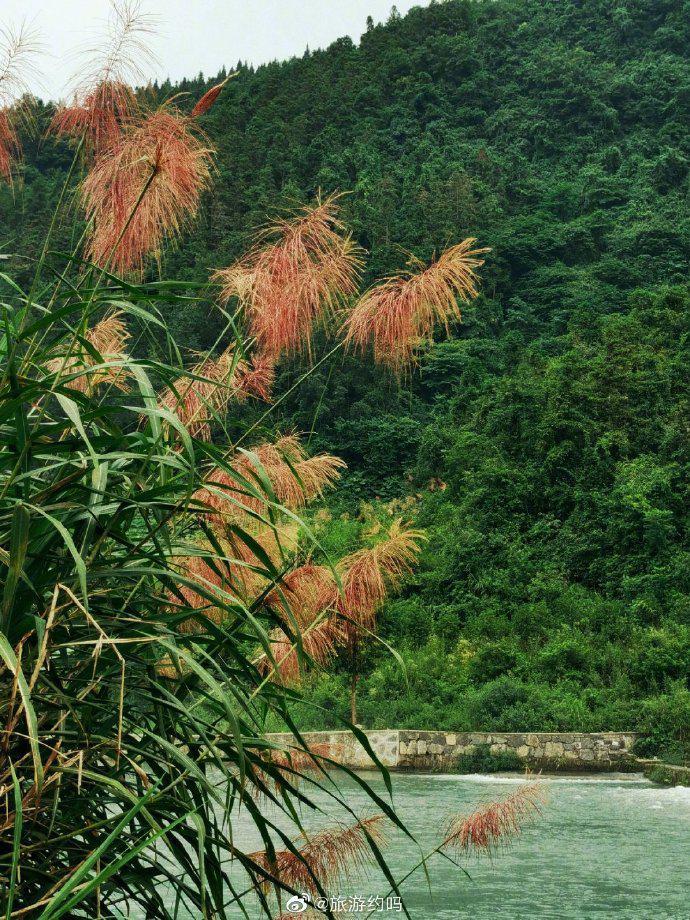 在家乡发现一个宝藏打卡地——凤凰古城旁边的长潭岗……