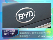 谁是铁柱子 | 悄悄拔尖儿，比亚迪惊艳了所有人