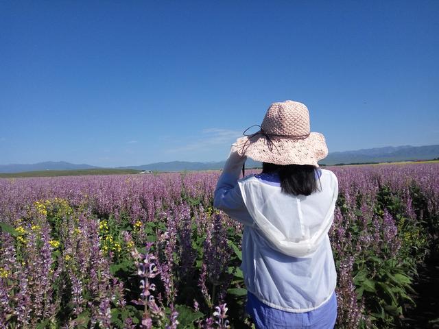 何时才能安心在国内旅游？现在“错峰出行”