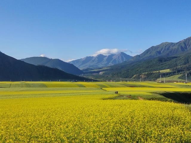 何时才能安心在国内旅游？现在“错峰出行”