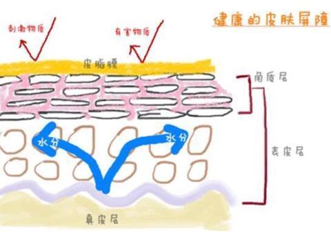 脸色暗沉粗糙，应该去角质？