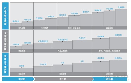 CDMO一体化平台，四大核心优势，助力医疗器械注册人制度发展