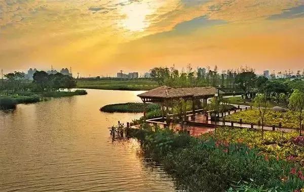 广东十大最美湿地公园
