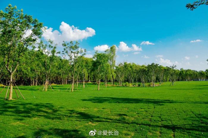 长治 漳泽湖国家城市湿地公园免费试开放！美景抢先看