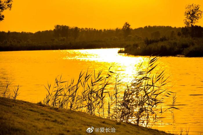 长治 漳泽湖国家城市湿地公园免费试开放！美景抢先看