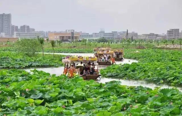 广东十大最美湿地公园