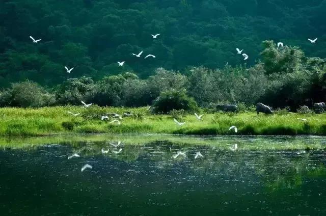 广东十大最美湿地公园