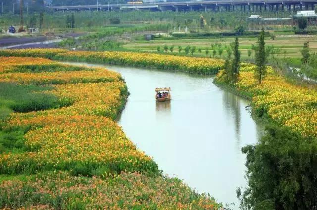 广东十大最美湿地公园