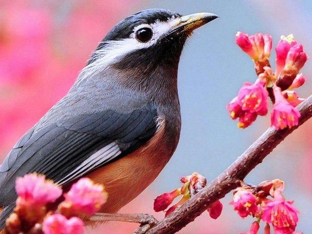 6月底鸿运当头，4属相好运接二连三，精神抖擞，生活逐渐明朗