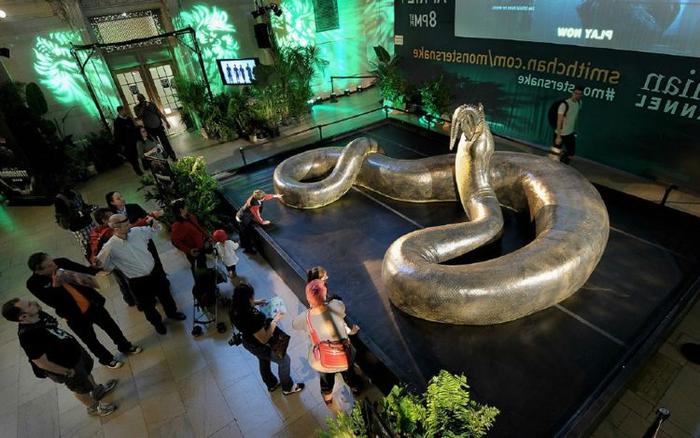 地球目前已知最大的蛇，长达15米重1吨，需要在30度以上高温生存