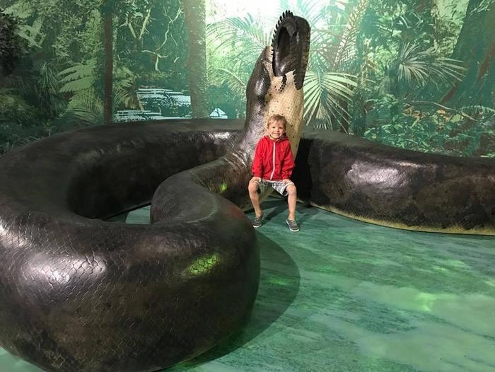 地球目前已知最大的蛇，长达15米重1吨，需要在30度以上高温生存
