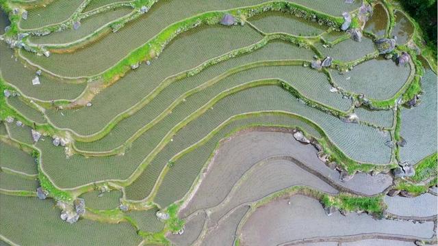 平江幕阜新村——许你一场梦境中的“桃花源记”