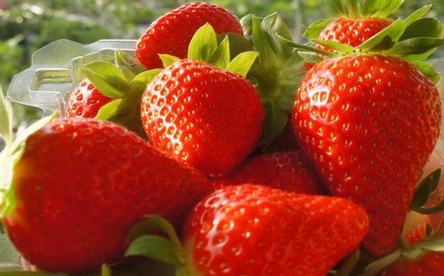 买草莓时，遇到这4种不要买，都是打了激素的，商贩自己都不吃
