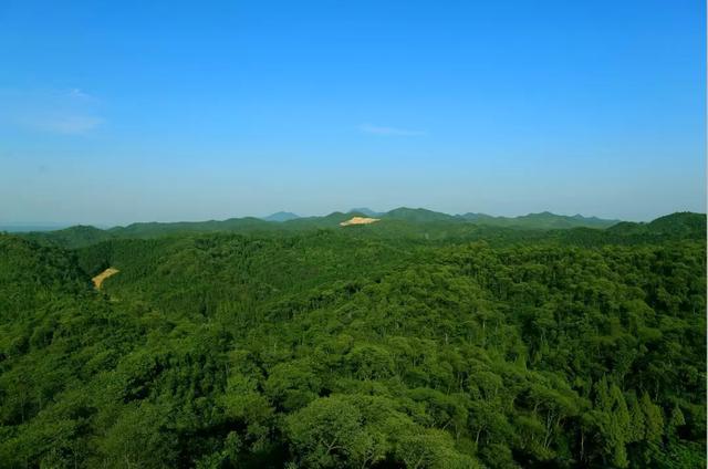 湖南被忽略的一处公园，是省级森林公园，形成特有的小气候环境