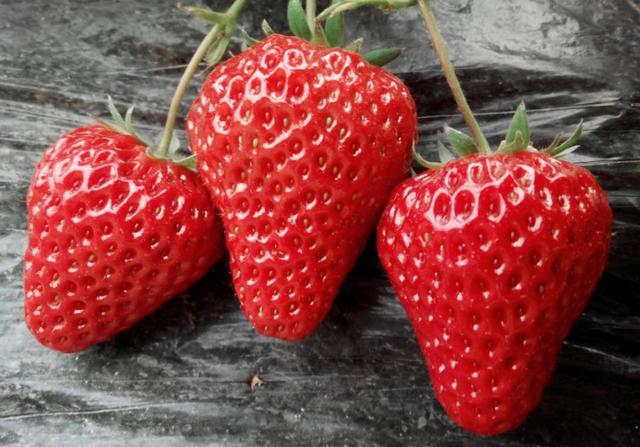 买草莓时，遇到这4种不要买，都是打了激素的，商贩自己都不吃