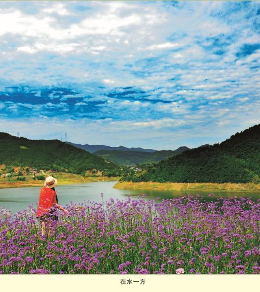 串起青川文旅发展记忆！跟着“广元廊桥影展”领略熊猫家园·青川