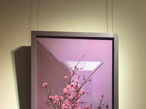 周子瑾个展——《偶然间，心似缱，在梅树边》在上海展出
