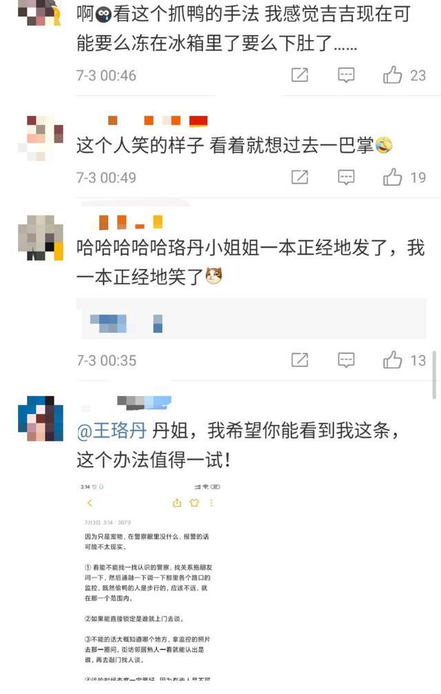 王珞丹深夜上线发布寻鸭启事，感谢方式很特别，网友：凶多吉少