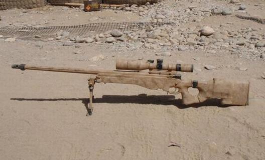 全世界综合性能最好的狙击步枪，毫无疑问是英国L115A3