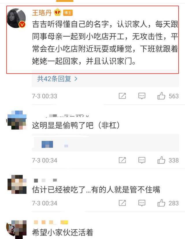 王珞丹深夜上线发布寻鸭启事，感谢方式很特别，网友：凶多吉少