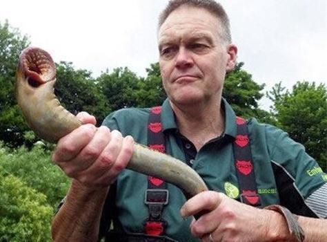 男子下河游泳遭遇史前生物，与恐龙生同一时代，见证3.6亿年历史