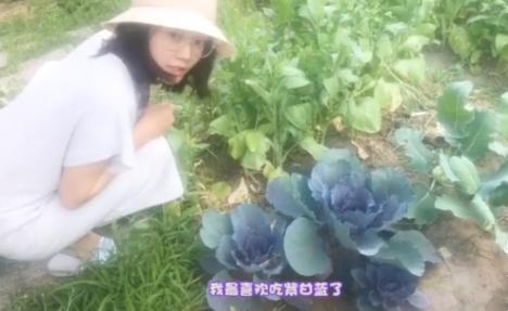 苗苗频晒豪宅花园，养花种菜婚后生活惬意，关注郑恺粉丝群秀恩爱