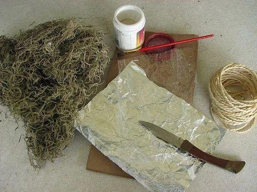 以大红花为例，教大家空中压条繁殖的技巧，繁殖木本植物就靠它
