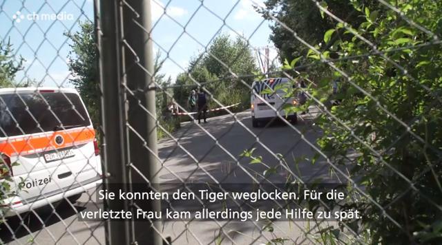 瑞士苏黎世动物园一东北虎突然发狂，55岁女饲养员不幸被咬身亡