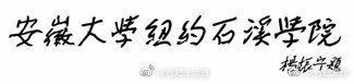 杨振宁为安徽大学纽约石溪学院题名合肥