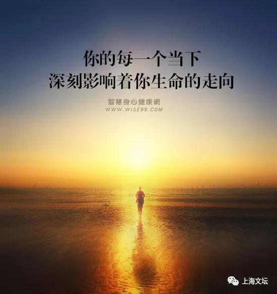 《生命产生之迷》杨焕文