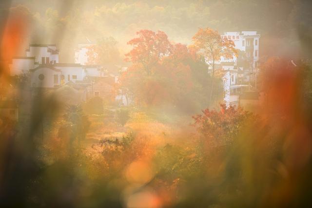 最绚丽的秋天在皖南，离宏村2公里远的塔川村，引无数艺术家前来